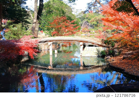 【東京都】快晴のシンメトリーな六義園の紅葉(千鳥橋) 【東京都】快晴のシンメトリーな六義園の紅葉(千鳥橋) 121786716