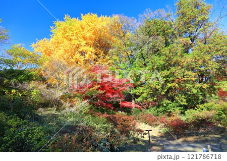 【東京都】六義園の紅葉 121786718