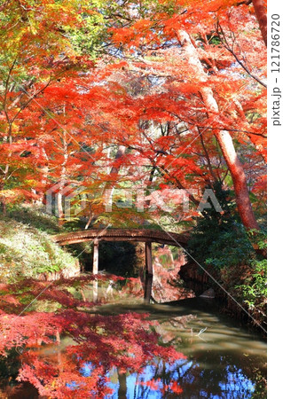 【東京都】六義園の山陰橋と紅葉 【東京都】六義園の山陰橋と紅葉 121786720