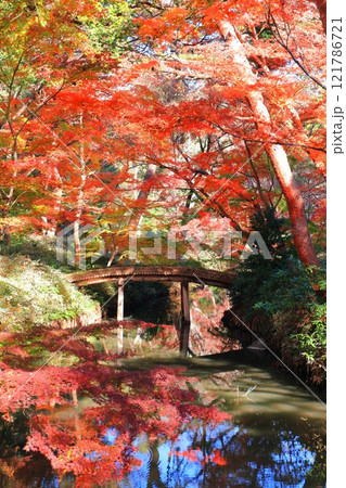 【東京都】六義園の山陰橋と紅葉 【東京都】六義園の山陰橋と紅葉 121786721