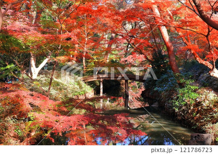 【東京都】六義園の山陰橋と紅葉 【東京都】六義園の山陰橋と紅葉 121786723