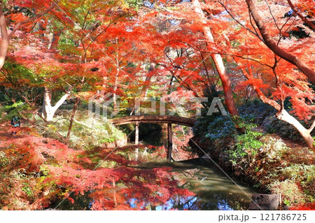 【東京都】六義園の山陰橋と紅葉 121786725