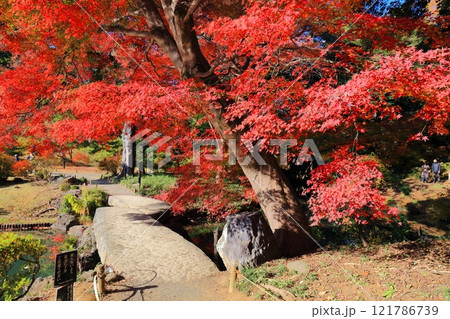【東京都】六義園の渡月橋と紅葉 121786739