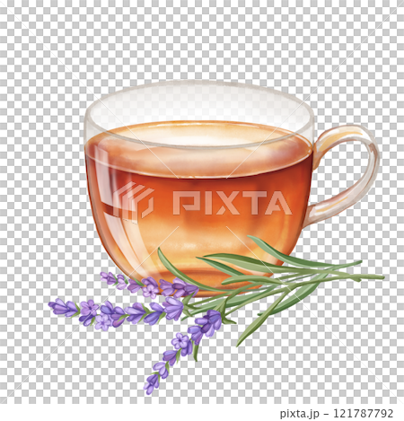 Lavender tea in cup and flowers. Food illustration with calming antistress herbal drink. 121787792