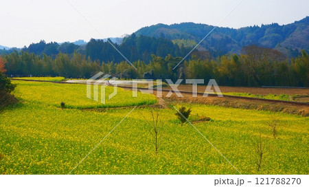 石神なの花畑と汽車 121788270