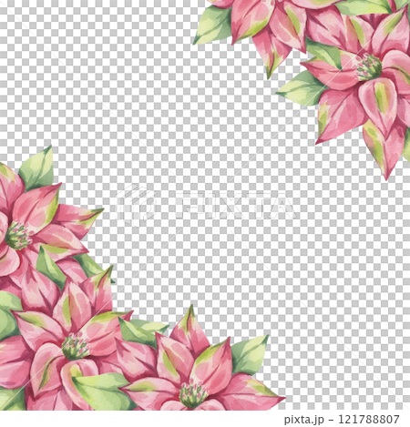 Poinsettia pink red corner frame, winter flower with leaves. Traditional plant for Christmas decoration. Happy New Year! Hand drawn watercolor illustration isolated on white background. 121788807