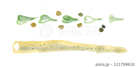 山芋とつる 山芋とつる 121789618