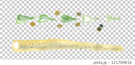 山芋とつる 山芋とつる 121789618