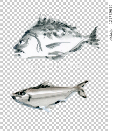 Black porgy, sardine Black porgy, sardine 121789619