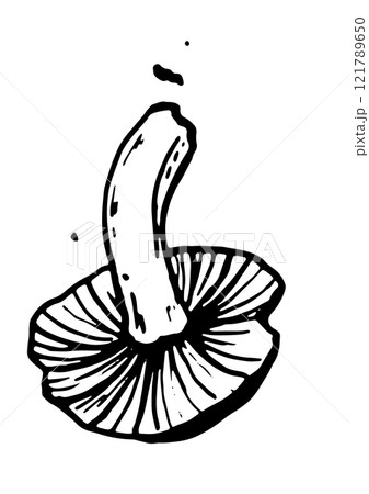 mushroom vector graphics on white background mushroom vector graphics on white background 121789650