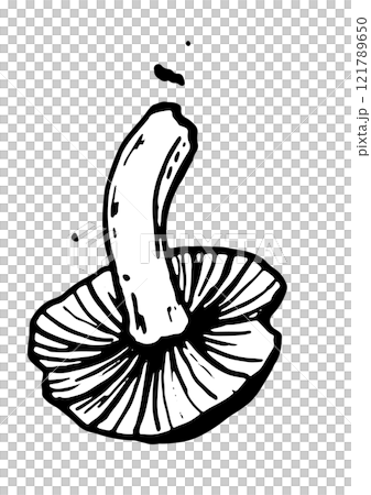 mushroom vector graphics on white background mushroom vector graphics on white background 121789650