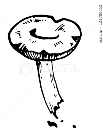 mushroom vector graphics on white background 121789652