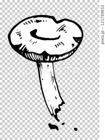 mushroom vector graphics on white background 121789652