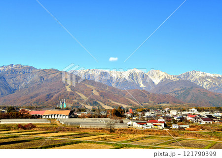 八方尾根、北アルプスを望む(長野県白馬村)【2024.11】 121790399