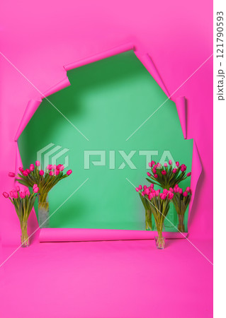 A bright spring background of pink torn paper and a green wall decorated with tulips. The flower photo zone. A combination of pink and green. 121790593