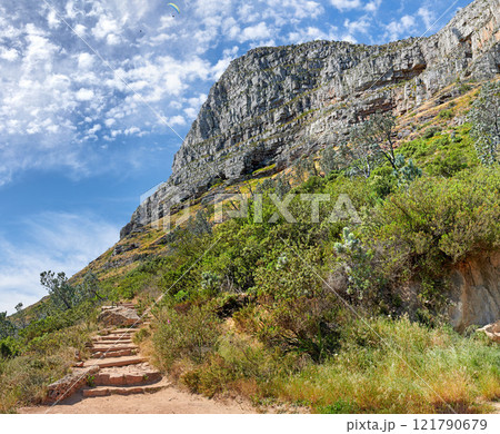 Scenic landscape of mountain trails in a natural environment in the countryside. Copyspace of greenery and trees along a walking path in nature against a blue sky. Vegetation and planta in a valley 121790679