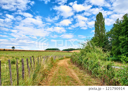 A countryside dirt road leading to agriculture fields or farm pasture in remote area location with blue sky and copy space. Landscape view of quiet, lush, green scenery of farming meadows in Germany 121790914