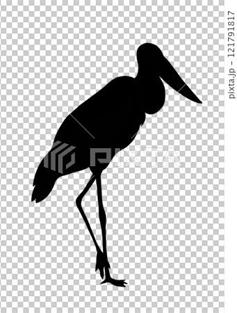 一隻黑頭鸛單腳站立的剪影插圖 121791817