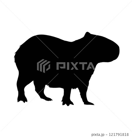 カピバラのシルエットイラスト 121791818