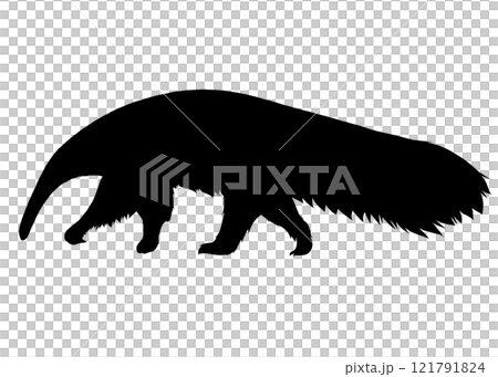 Silhouette illustration of a walking giant anteater 121791824