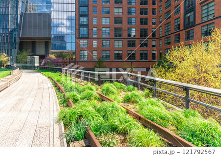 High Line urban park walkway in New York City High Line urban park walkway in New York City 121792567