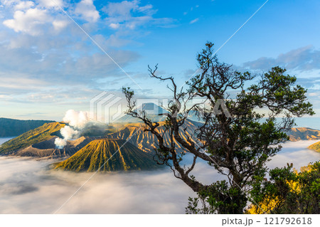 Sunrise at volcano Bromo, Java island, Indonesia.  121792618