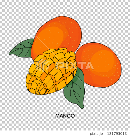 芒果線描插圖 芒果線描插圖 121793018