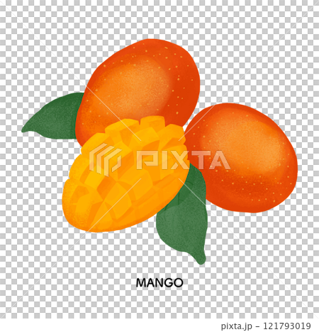 芒果色鉛筆插圖 121793019