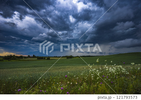 Dramatic storm clouds over wheat field, creating threatening atmosphere in countryside 121793573
