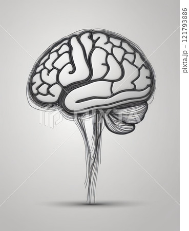 human brain close up human brain close up 121793886