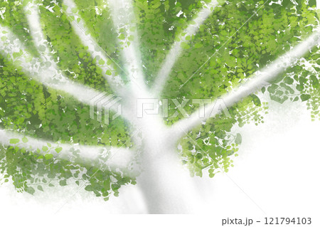 ユーカリの木のカード2 121794103