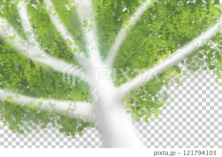 ユーカリの木のカード2 121794103