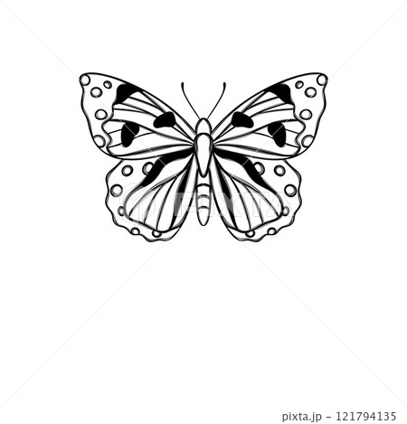 Line art butterfly, Layout for printing illustrations on T-shirts, notepads, covers Line art butterfly, Layout for printing illustrations on T-shirts, notepads, covers 121794135