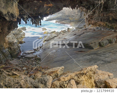 Admirals Arch lookout with sleeping Sea Lions Admirals Arch lookout with sleeping Sea Lions 121794410