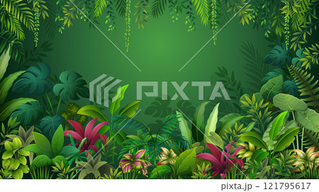 Tropical forest with various kinds of plants Tropical forest with various kinds of plants 121795617