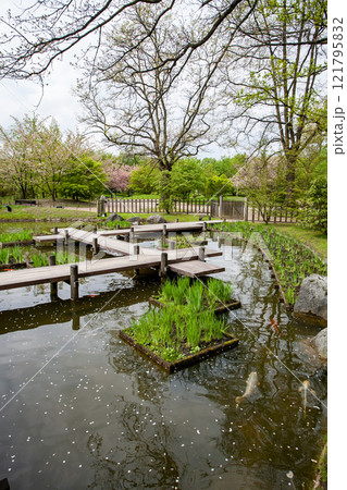 A serene and calming Japanese garden featuring beautiful water features and tranquil wooden pathways 121795832
