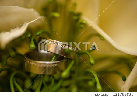 Elegant Wedding Rings Nestled Lovingly Within a Beautiful and Vibrant Flower Display 121795839