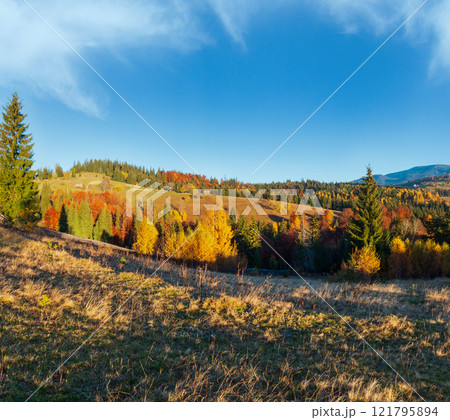 Autumn Carpathian village, Ukraine. 121795894