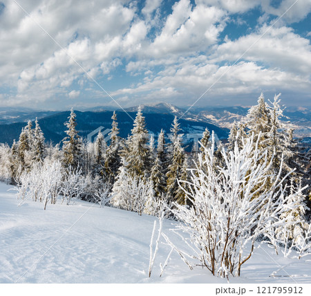 Winter mountain snowy landscape 121795912