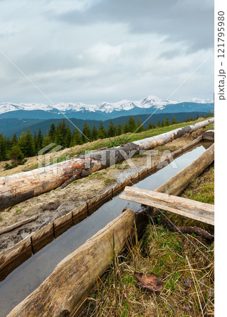Spring Carpathian mountains 121795980
