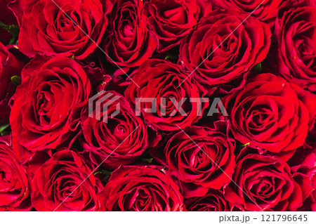 A lot of scarlet roses, top view 121796645