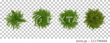 tree top view plant landscape architecture nature garden aerial render. trees branch isolate collection illustration environment green botany urban bush park. tree architecture conifer decorative. 121796666