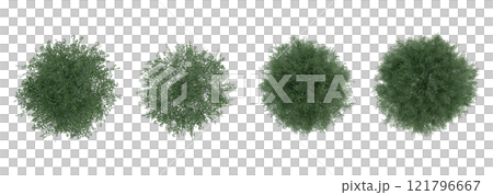 tree top view plant landscape architecture nature garden aerial render. trees branch isolate collection illustration environment green botany urban bush park. tree architecture conifer decorative. 121796667