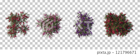 tree top view plant landscape architecture nature garden aerial render. trees branch isolate collection illustration environment green botany urban bush park. tree architecture conifer decorative. 121796671