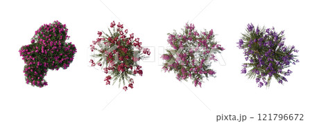 tree top view plant landscape architecture nature garden aerial render. trees branch isolate collection illustration environment green botany urban bush park. tree architecture conifer decorative. tree top view plant landscape architecture nature garden aerial render. trees branch isolate collection illustration environment green botany urban bush park. tree architecture conifer decorative. 121796672