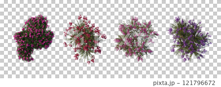 tree top view plant landscape architecture nature garden aerial render. trees branch isolate collection illustration environment green botany urban bush park. tree architecture conifer decorative. tree top view plant landscape architecture nature garden aerial render. trees branch isolate collection illustration environment green botany urban bush park. tree architecture conifer decorative. 121796672