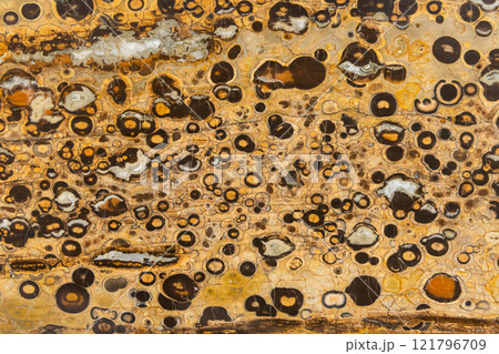 Lapia rhyolite, polished plate. Close up background photo texture 121796709
