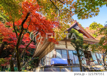 　【紅葉の名所 聖宝寺】　鳴谷山聖宝寺　　いなべ市　三重県 121797351