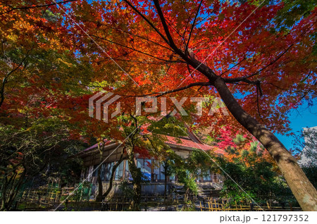 　【紅葉の名所 聖宝寺】　鳴谷山聖宝寺　　いなべ市　三重県 121797352