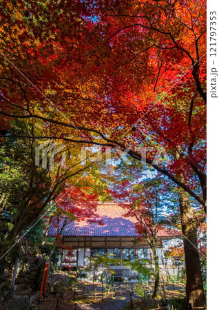 【紅葉の名所 聖宝寺】　鳴谷山聖宝寺　　いなべ市　三重県 121797353